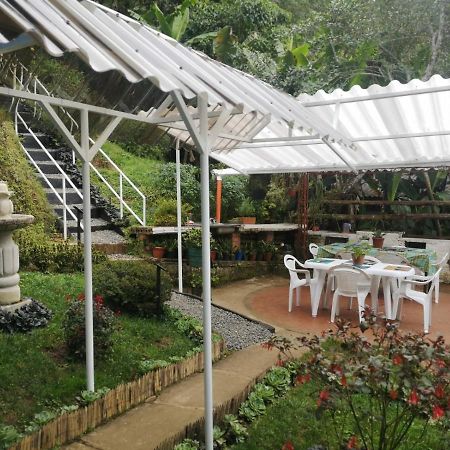 Bosque De Niebla Birding & Nature Cali Exterior foto