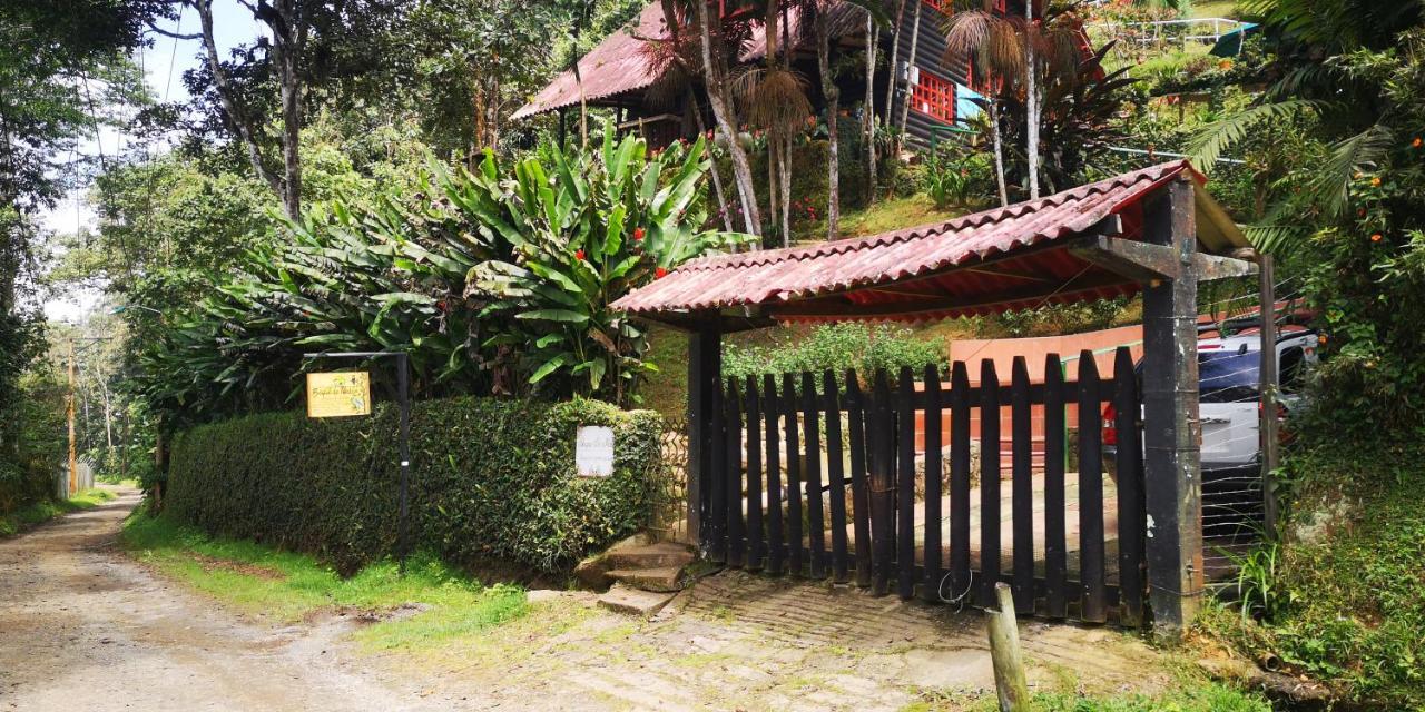 Bosque De Niebla Birding & Nature Cali Exterior foto