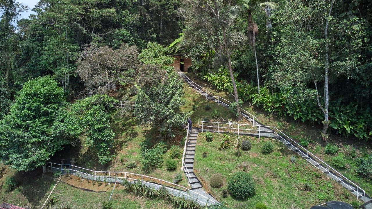 Bosque De Niebla Birding & Nature Cali Exterior foto